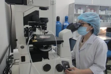 Nghiên cứu khoa học tại Đại học Quốc gia Thành phố Hồ Chí Minh.
