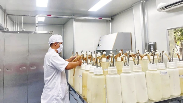 Nhân viên y tế chuẩn bị dụng cụ trích huyết thanh. (Ảnh: CỘNG TÁC VIÊN)