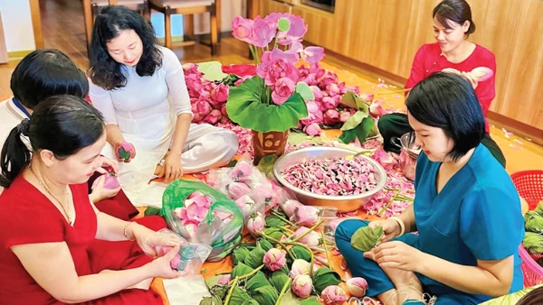 Hợp tác xã Trà sen Hương Thủy tăng cường sản xuất vào dịp cuối năm.