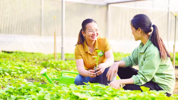 Nông dân tham gia dự án hỗ trợ kinh doanh nông hộ tại Cao Bằng (Ảnh: VIỆT HÀ)
