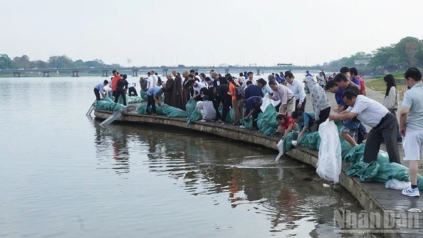 Gần 140.000 con giống thủy sản đã được thả xuống sông Hương vào sáng nay (3/3).