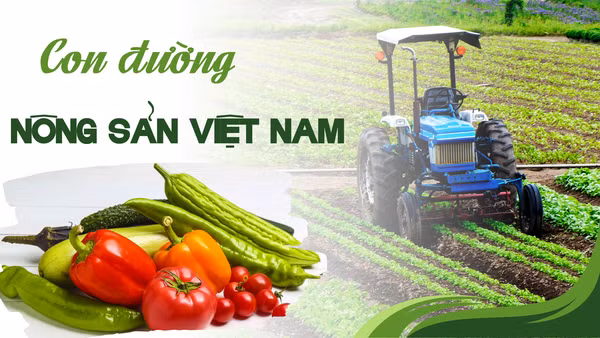 Con đường nông sản Việt Nam