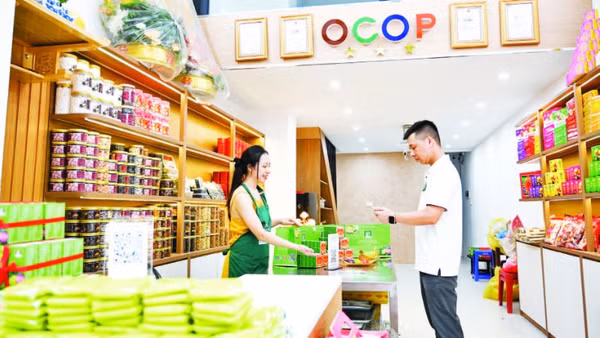 Người dân Hà Nội thanh toán bằng mã QR tại cửa hàng (Ảnh: THẾ ĐẠI)