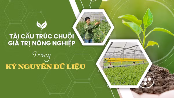 Tái cấu trúc chuỗi giá trị nông nghiệp trong kỷ nguyên dữ liệu