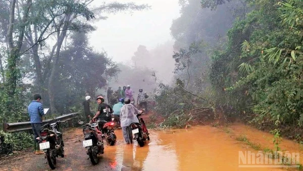 Điểm sạt lở nghiêm trọng trên đèo Gia Bắc xảy ra sáng 4/12 tại Km53, Quốc lộ 28.