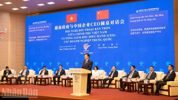 Phó Thủ tướng Chính phủ Mai Văn Chính phát biểu tại hội nghị.