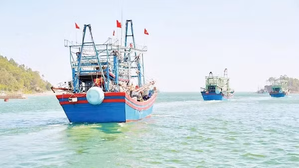 Cả nước hiện có hơn 80.300 tàu cá đăng ký, được cập nhật thông tin trên cơ sở dữ liệu nghề cá quốc gia. (Ảnh minh họa: TRẦN TRUNG HIẾU)