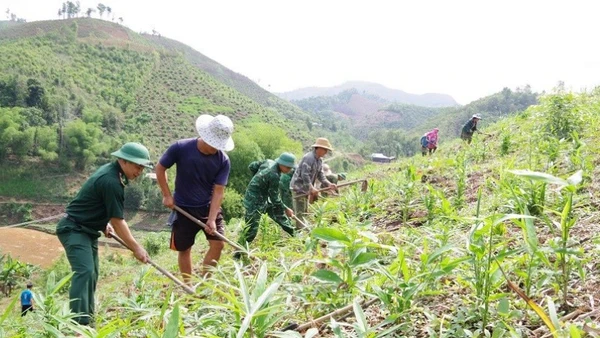 Cán bộ, chiến sĩ Ban Chỉ huy Bộ đội Biên phòng tỉnh Điện Biên giúp nhân dân biên giới phát triển sản xuất trên nương. 