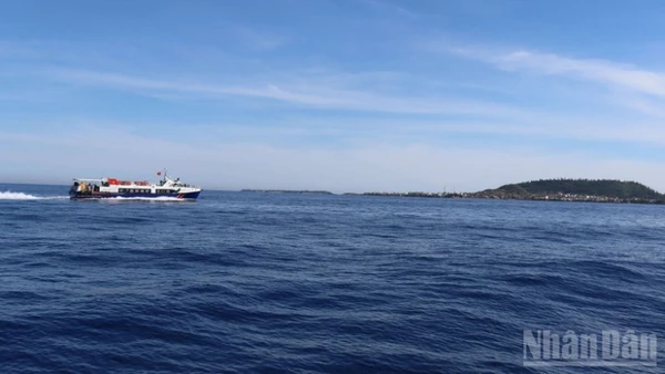 Sở Xây dựng tỉnh Quảng Ngãi yêu cầu các đơn vị vận tải thủy tuyến Sa Kỳ-Lý Sơn chủ động tổ chức phân lịch chạy tàu trên tuyến, phù hợp với yêu cầu đi lại của khách trong dịp Tết, tuyệt đối không để xảy ra tình trạng ùn ứ khách tại cảng.