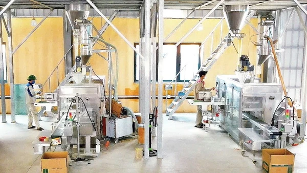 Gia công thuốc bảo vệ thực vật tại Nhà máy nông nghiệp HACO-Chi nhánh Công ty cổ phần Thương mại Hải Ánh (Thanh Hóa).