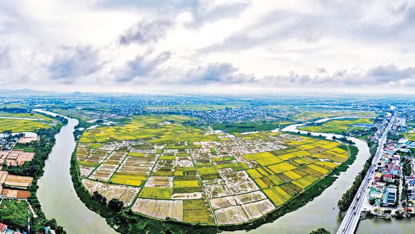Kênh nhà Lê đoạn qua tỉnh Nghệ An có chiều dài 128 km.