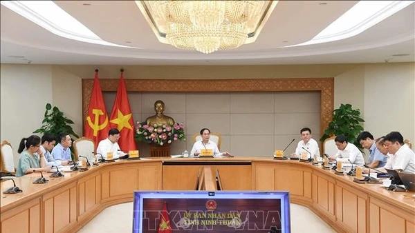 Phó Thủ tướng Bùi Thanh Sơn chủ trì họp rà soát tiến độ Dự án điện hạt nhân Ninh Thuận. (Ảnh: TTXVN)