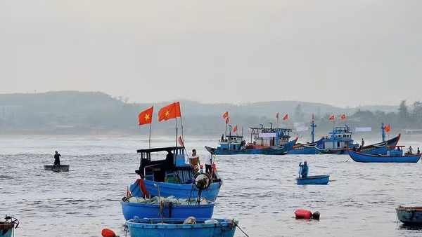 Ngư dân Quảng Ngãi vươn khơi bám biển, thực hiện nghiêm quy định chống khai thác IUU. (Ảnh: LƯU HƯƠNG)