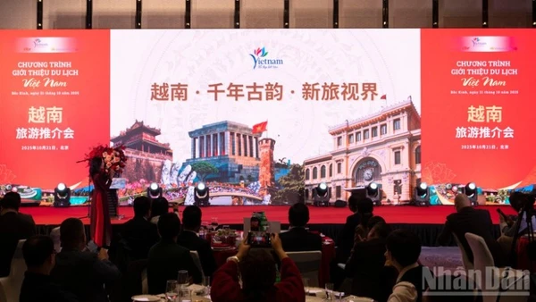 Giới thiệu các điểm đến nổi tiếng của Việt Nam.