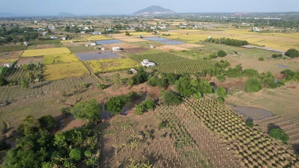 Diện tích sản xuất nông nghiệp tại khu phố Kim Bình (phường Hàm Thắng) bị hư do ngập lụt.