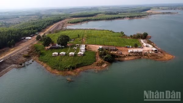 Nhiều vi phạm về đất đai, xây dựng tại khu vực bán ngập nước hồ Trị An trong những năm qua.