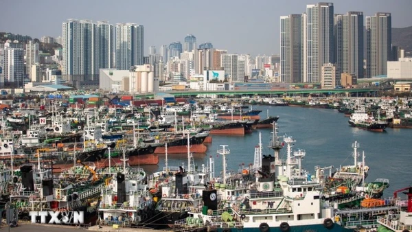 Ảnh minh họa. (Ảnh: THX/TTXVN)