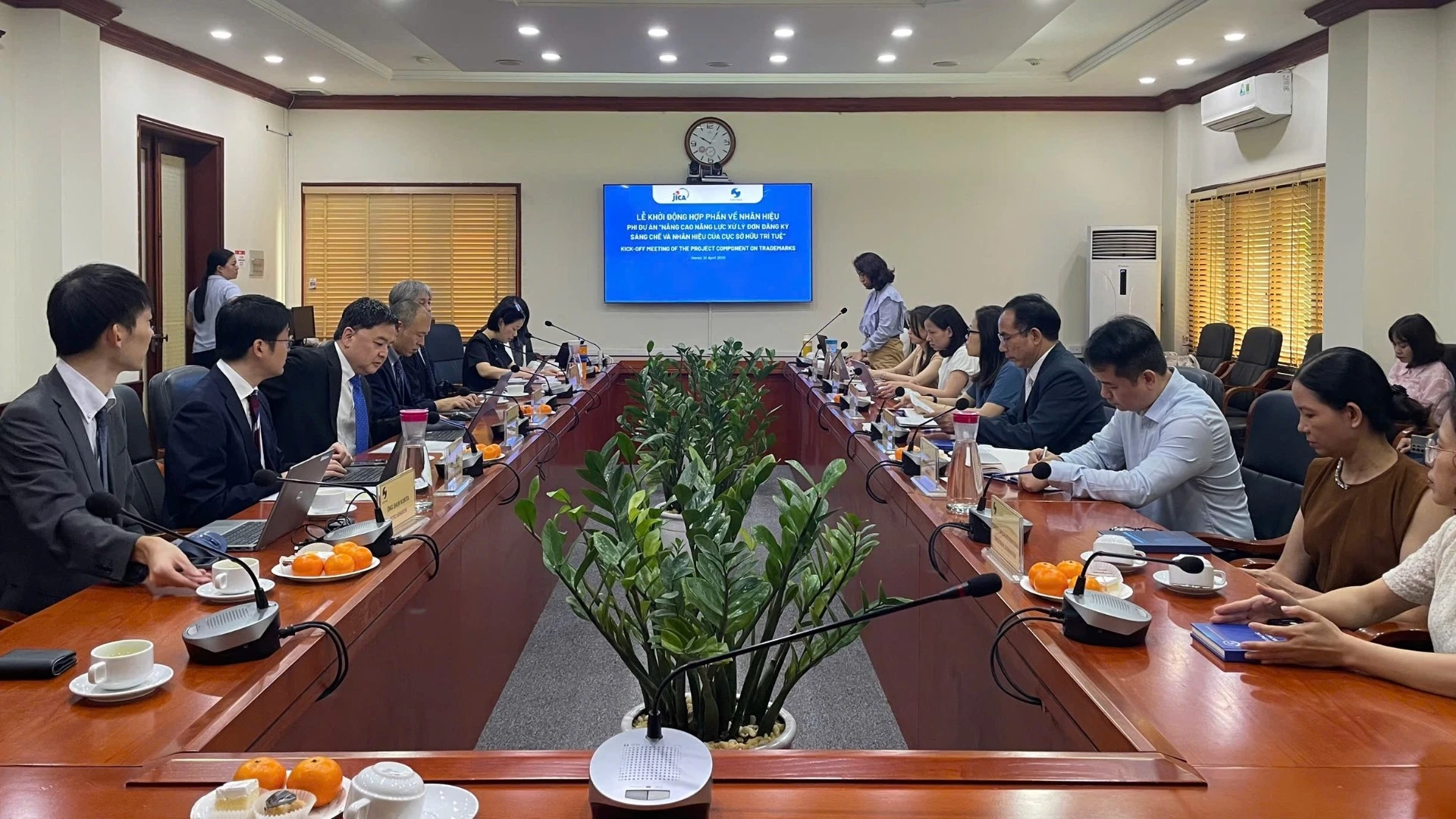 JICA Khởi Động Giai Đoạn Nhãn Hiệu, Thúc Đẩy Năng Lực Thẩm Định Sở Hữu Trí Tuệ