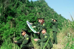 Cán bộ ngành lâm nghiệp và kiểm lâm ứng dụng chuyển đổi số trong quản lý, bảo vệ rừng.