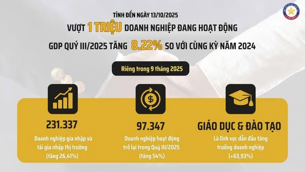 Theo thống kê đến 13/10/2025, cả nước có hơn 1 triệu doanh nghiệp đang hoạt động. 1.jpg