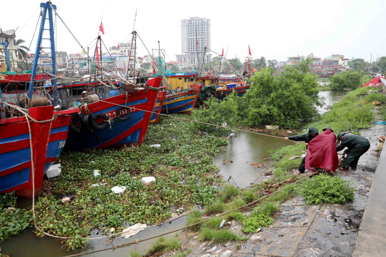 Lực lượng vũ trang cùng chính quyền địa phương giúp người dân neo đậu tàu thuyền tại khu neo đậu Cảng cá Tân Sơn, xã Thái Thụy, Hưng Yên. (Ảnh: Thế Duyệt/TTXVN) vna-potal-pho-thu-tuong-tran-hong-ha-kiem-tra-cong-tac-phong-chong-bao-tai-hung-yen-8162111.jpg