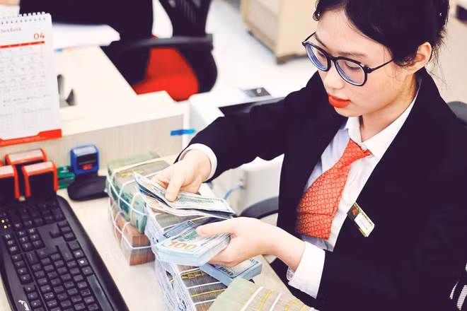 Dù tỷ giá trong nước xuất hiện những biến động ngắn hạn, thị trường ngoại hối ở Việt Nam vẫn được đánh giá nằm trong tầm kiểm soát.