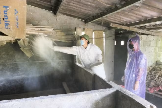 Cán bộ Trạm Chăn nuôi, thú y và Thủy sản khu vực 7 tiêu độc, khử trùng chuồng trại chăn nuôi tại xã Quản Bạ.