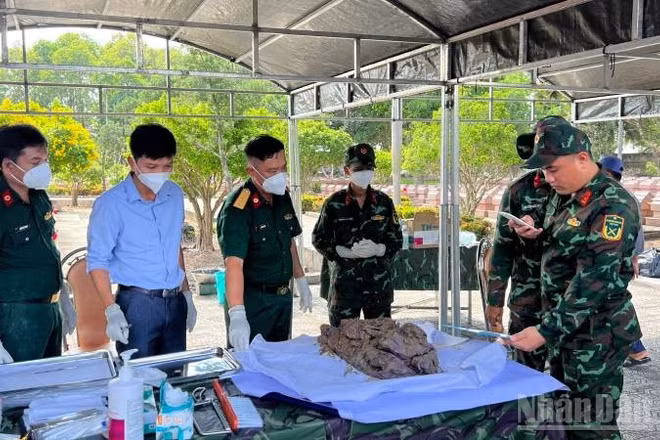 Lấy mẫu hài cốt liệt sĩ phục vụ giám định ADN tại Nghĩa trang Liệt sĩ Bến Tre. (Ảnh: HOÀNG TRUNG)