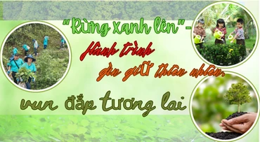 “Rừng xanh lên” - Hành trình gìn giữ thiên nhiên, vun đắp tương lai