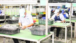 Công nhân làm việc tại Công ty trách nhiệm hữu hạn JUKI (chuyên sản xuất linh kiện máy khâu) tại Khu chế xuất Tân Thuận, phường Tân Thuận, Thành phố Hồ Chí Minh. (Ảnh THẾ ANH)
