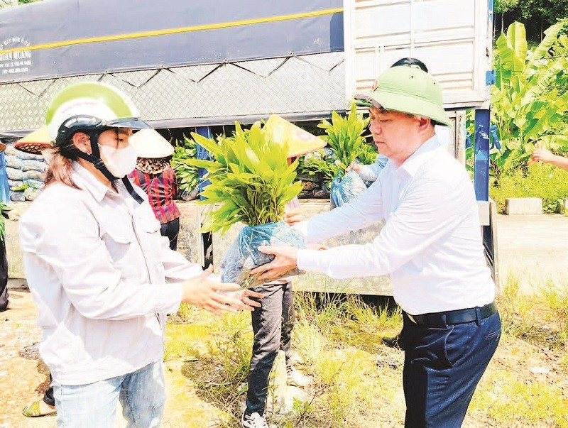 Người dân xã Nghĩa Tá nhận cây keo giống để triển khai trồng rừng. (Ảnh DUY THÁI)