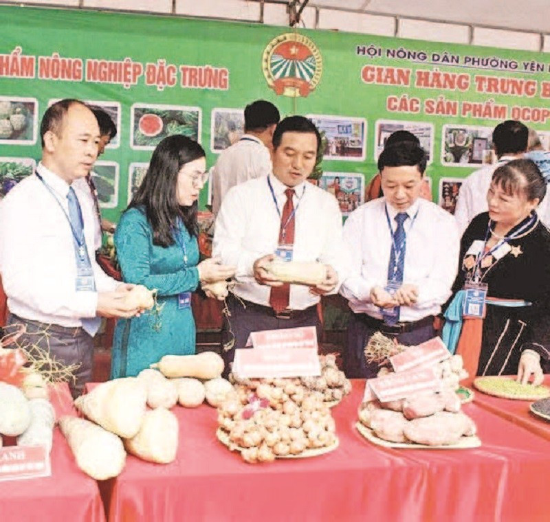 Lãnh đạo Hội Nông dân tỉnh thăm gian hàng trưng bày sản phẩm nông nghiệp.