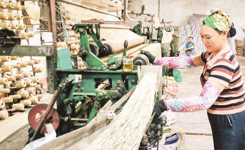 Chiếu cói An Vũ dày, mềm, dẻo rất được khách hàng ưa chuộng.