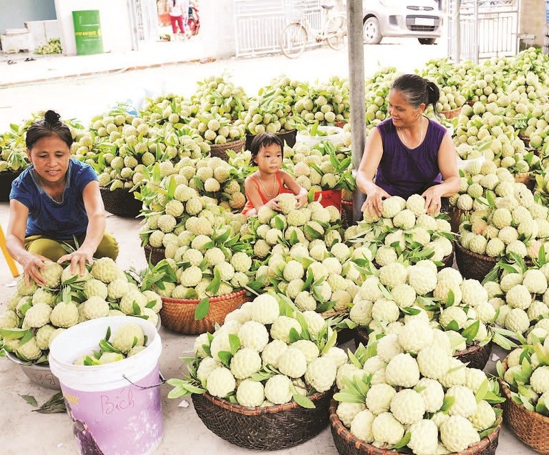Chợ na Nghĩa Phương nhộn nhịp mỗi sáng.