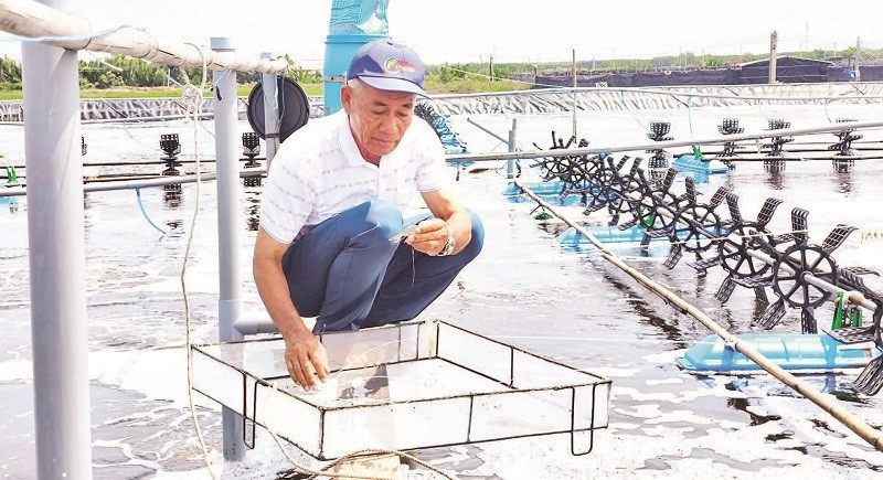 Ông Lê Văn Sấm bên ao nuôi tôm ứng dụng công nghệ cao