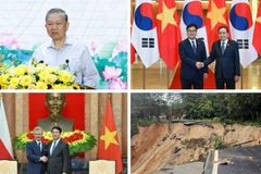 Tin nổi bật ngày 20/11: Tổng Bí thư Tô Lâm thăm và làm việc tại An Giang; mưa lũ gây thiệt hại lớn ở Khánh Hòa, Đắk Lắk, Lâm Đồng