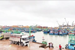 Cảng cá Quy Nhơn nhìn từ trên cao. (Ảnh HOÀNG QUÂN)