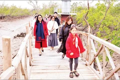 Khách du lịch tham quan rừng ngập mặn Đồi Rồng, phường Đồ Sơn, thành phố Hải Phòng. (Ảnh NGUYỄN ĐĂNG)