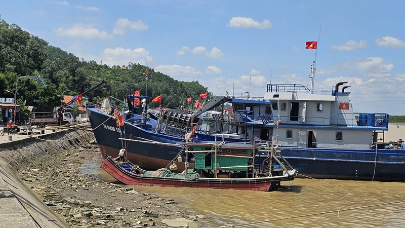 Tàu thuyền neo đậu trong lạch Trường, tỉnh Thanh Hóa.