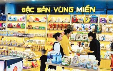 Sản phẩm của nhiều làng nghề được bày bán tại các trung tâm thương mại lớn.