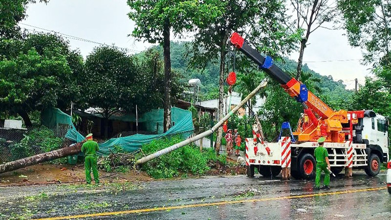 Cây xanh, cột điện ngã đổ ra Quốc lộ 20 đoạn qua xã Hà Lâm, huyện Đạ Huoai, tỉnh Lâm Đồng.