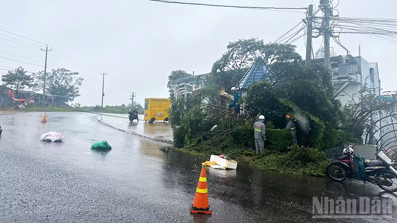Nhiều hệ thống dây cáp viễn thông trên địa bàn Phường 2 Bảo Lộc và Phường 3 Bảo Lộc, tỉnh Lâm Đồng bị cây xanh ngã đổ gây đứt, hư hỏng.