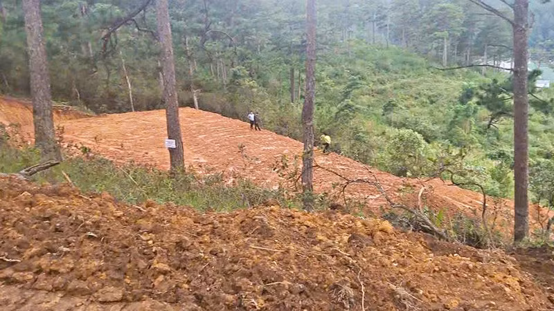 Khu vực đất lâm nghiệp bị các đối tượng san ủi trái phép tại tiểu khu 227A, phường LangBiang-Đà Lạt do Ban Quản lý rừng phòng hộ Đa Nhim quản lý.