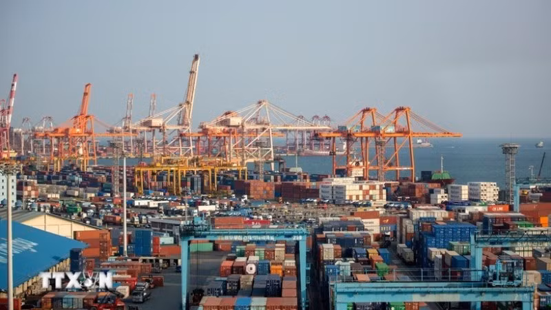 Cảng hàng hóa Busan, Hàn Quốc. (Ảnh: THX/TTXVN)