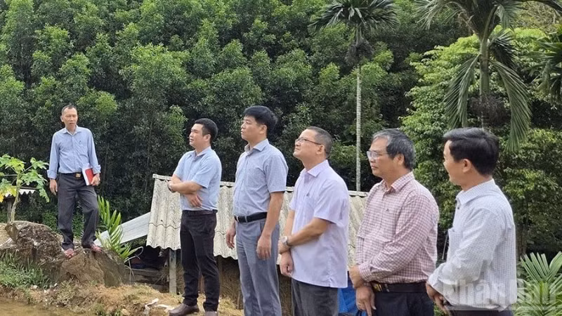 Phó Chủ tịch Ủy ban nhân dân tỉnh Quảng Ngãi Đỗ Tâm Hiển cùng lãnh đạo các sở, ngành chức năng kiểm tra khu vực có nguy cơ sạt lở núi tại thôn Ba Lang, xã Ba Vinh.
