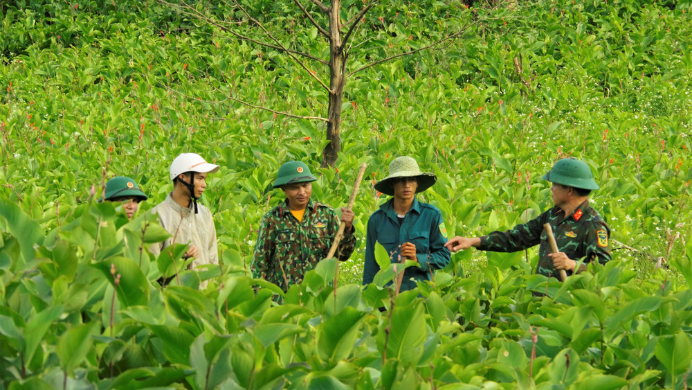 Cán bộ, nhân viên và trí thức trẻ tình nguyện hướng dẫn người dân chăm sóc hiệu quả cây dong riềng. ktqp3-8438.jpg