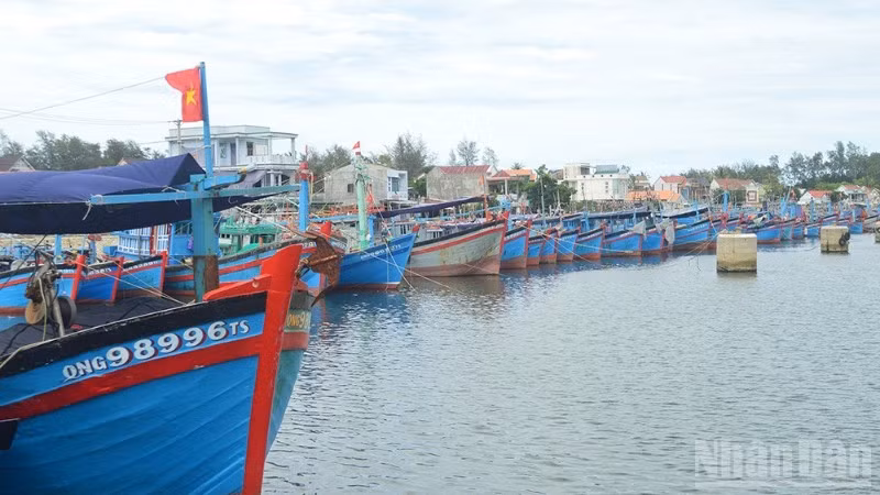 Tàu cá của ngư dân Quảng Ngãi (Ảnh minh họa).