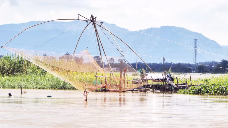 Xóm vó cá Nhơn Hưng, phường Thái Sơn, tỉnh An Giang vào mùa đánh bắt.