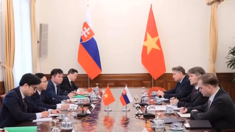 Thứ trưởng Ngoại giao Ngô Lê Văn và Quốc vụ khanh Bộ Ngoại giao Slovakia Marek Estok đồng chủ trì Tham vấn Chính trị cấp Thứ trưởng Ngoại giao Việt Nam-Slovakia. (Ảnh: An Đăng/TTXVN)