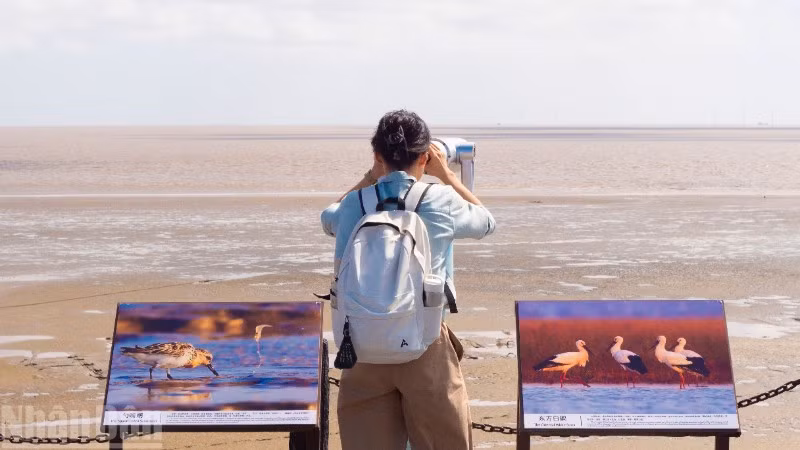 Khu bảo tồn đất ngập nước Điều Tử Nê là vùng đất ngập nước theo chu kỳ thủy triều lớn nhất thế giới với diện tích 8.604ha.